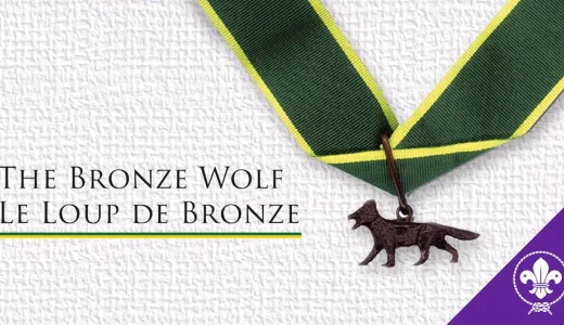 Bronze Wolf