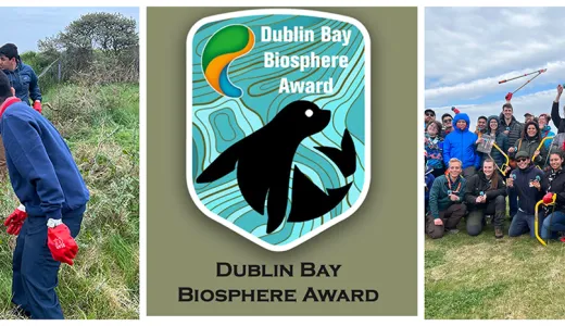 Dublin Bay Biosphere. Irish Scouts & YBPF Battle Buckthorn