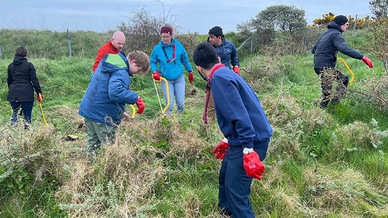 Dublin Bay Biosphere. Irish Scouts & YBPF Battle Buckthorn