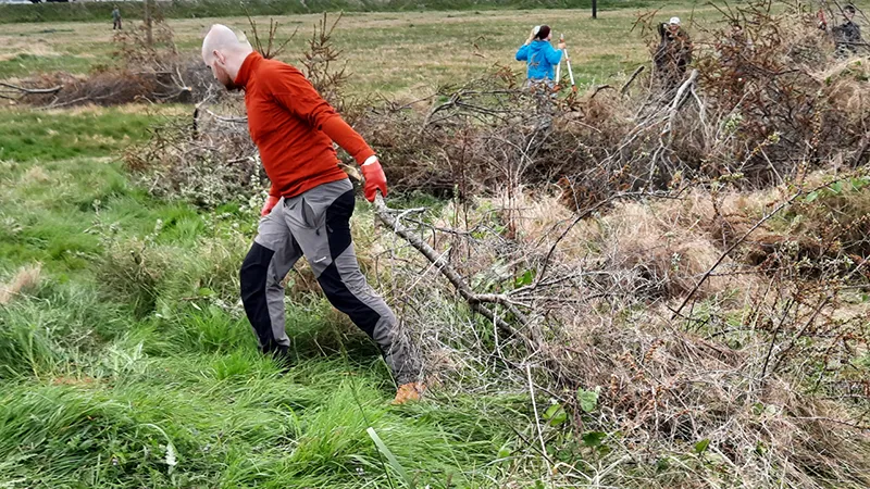 Dublin Bay Biosphere. Irish Scouts & YBPF Battle Buckthorn
